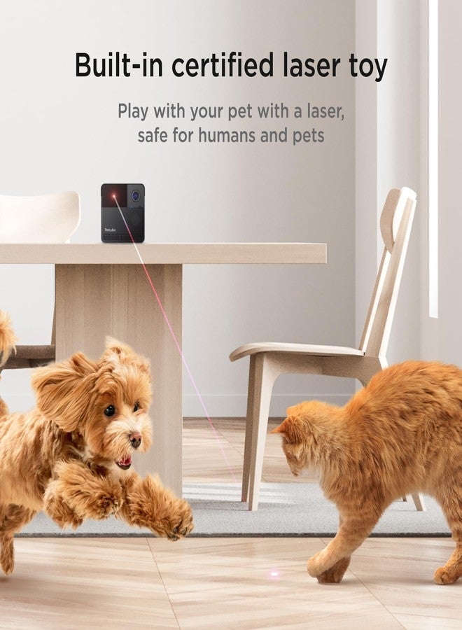 كاميرا Petcube Play 2 اللاسلكية للحيوانات الأليفة مع لعبة ليزر للقطط والكلاب، فيديو عالي الدقة 1080P، رؤية كاملة للغرفة بزاوية 160 درجة، صوت ثنائي الاتجاه، تنبيهات صوتية/حركية، رؤية ليلية، تطبيق لمراقبة الحيوانات الأليفة - Image 2